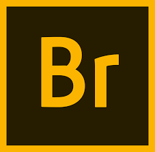 Adobe Bridge 2025 Free Full Activated