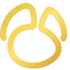 Navicat Premium