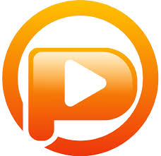 Pazu Netflix Video Downloader