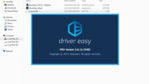 Driver Easy Professional 